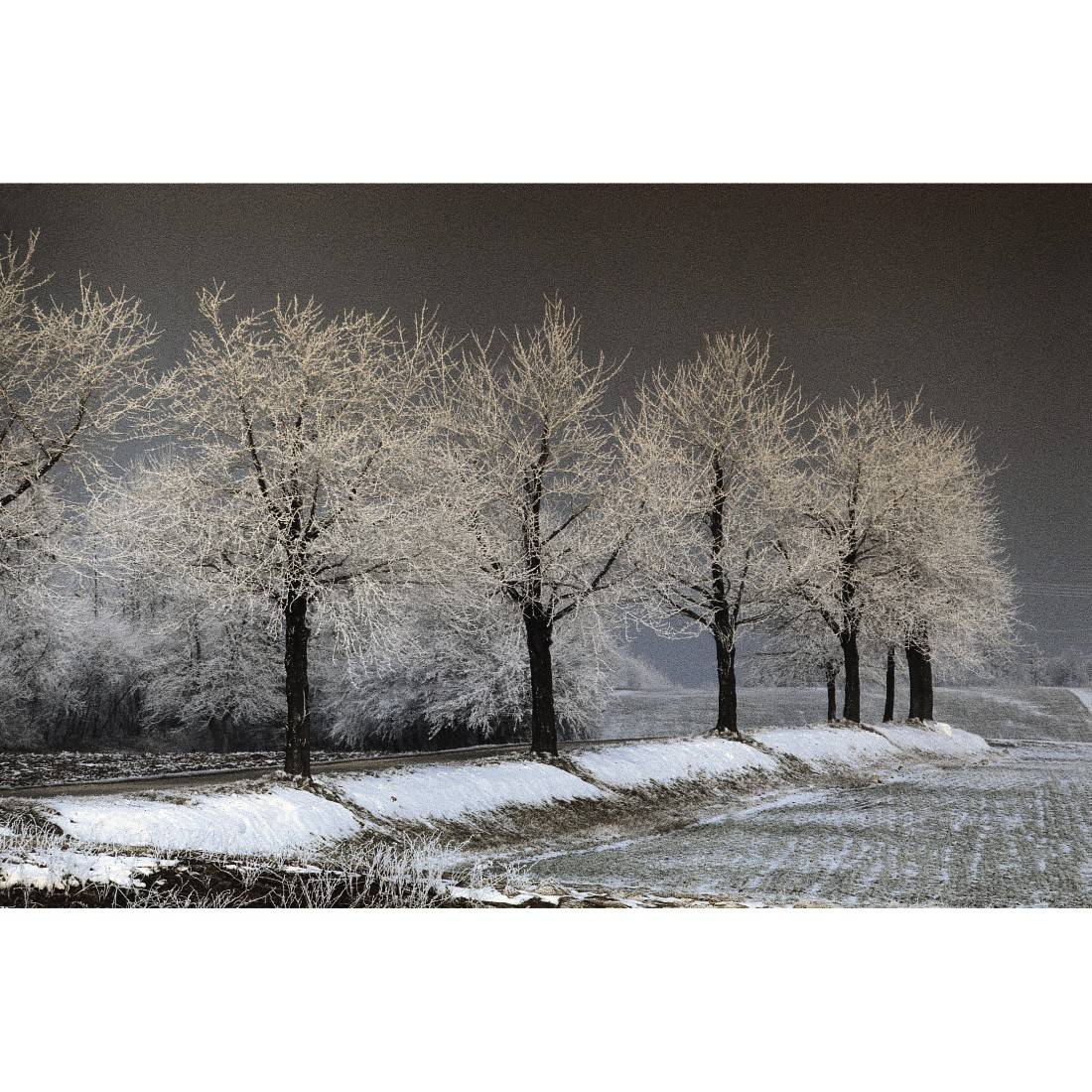 HAMA FILTER VERLAUF DUNKELGRAU M52