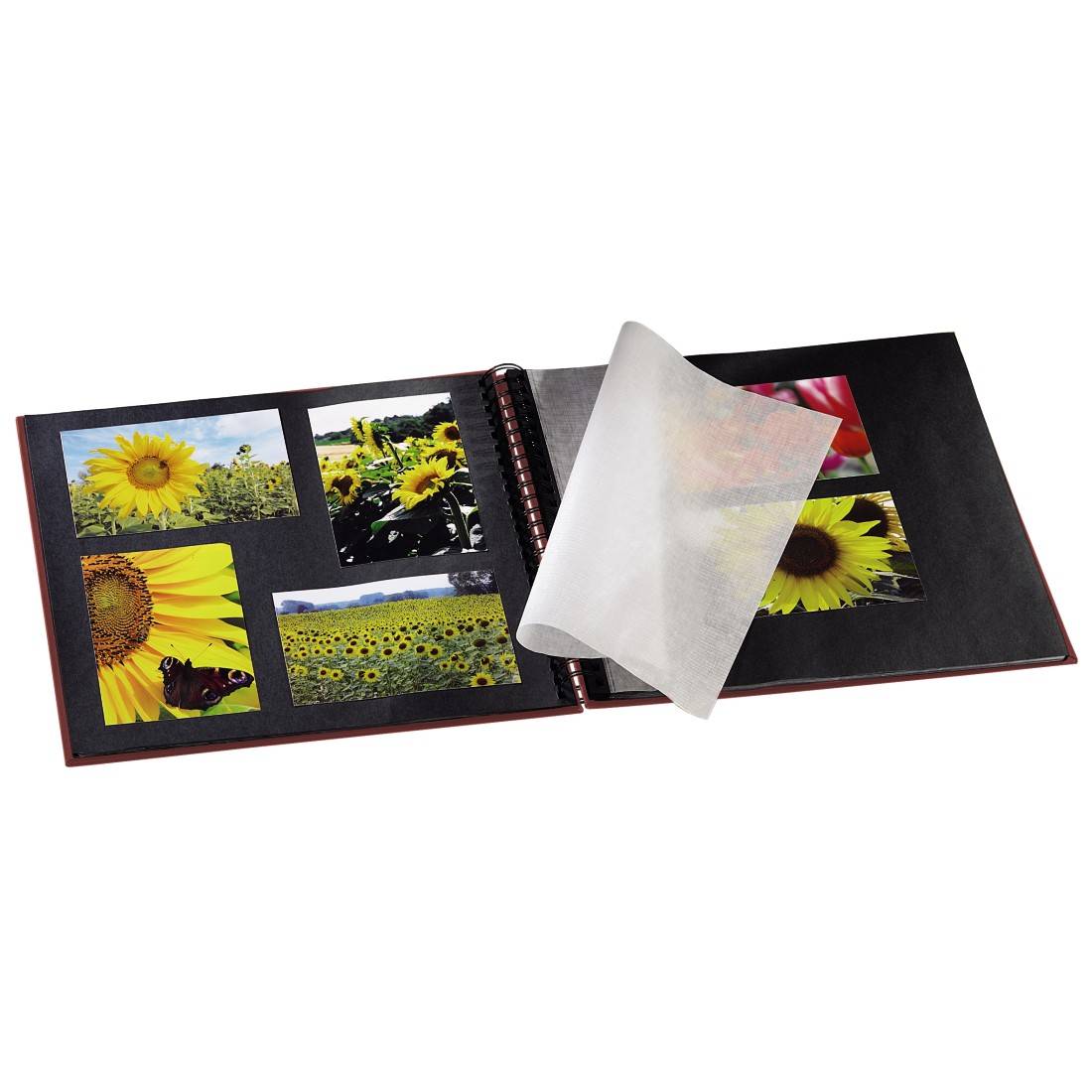 Offenes Fotoalbum mit Bildern von Sonnenblumen auf schwarzem Hintergrund. Eine Seite wird umgeblättert.