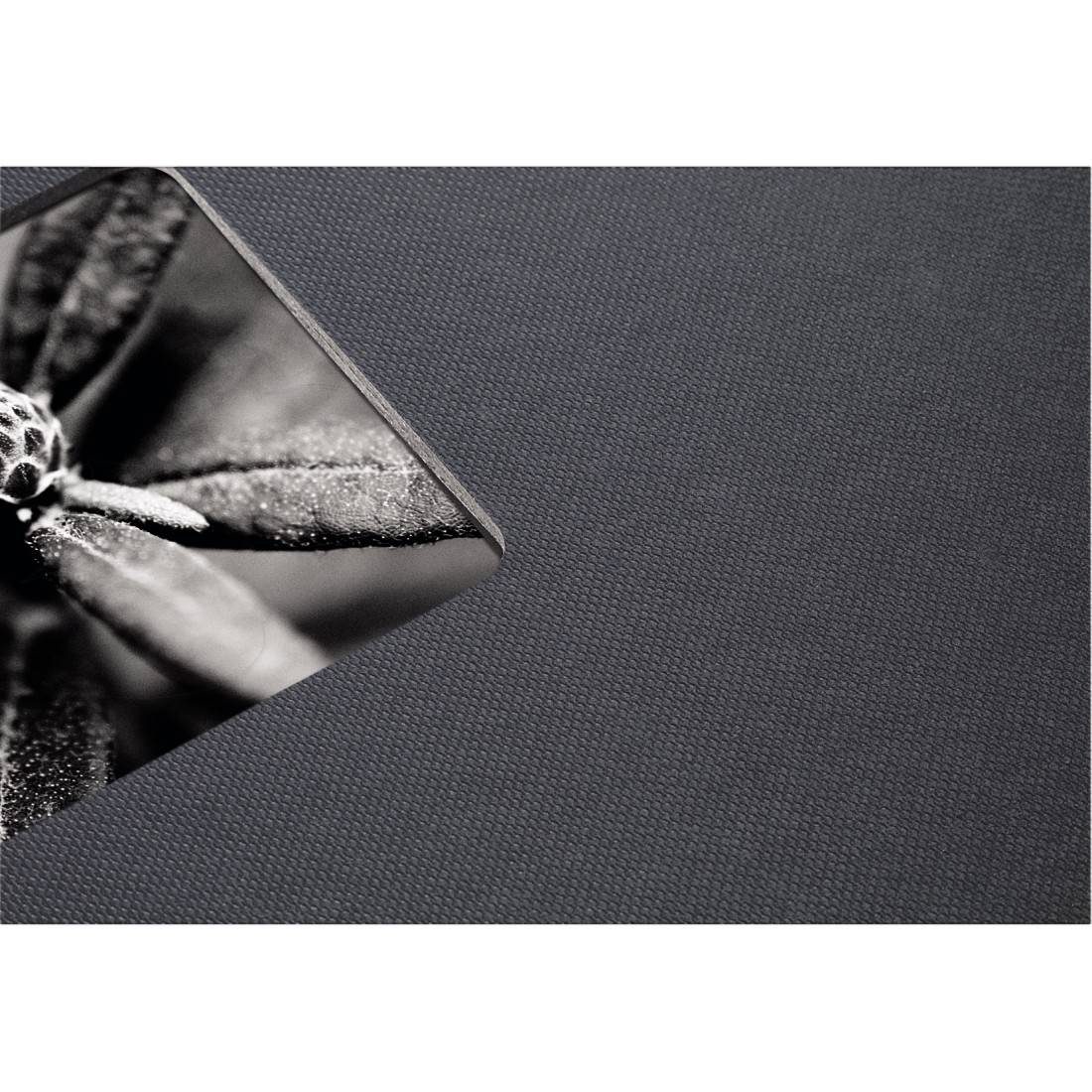 Hama Fine Art 00094879 Spiralalbum (B x H) 28cm x 24cm Grau 50 Seiten