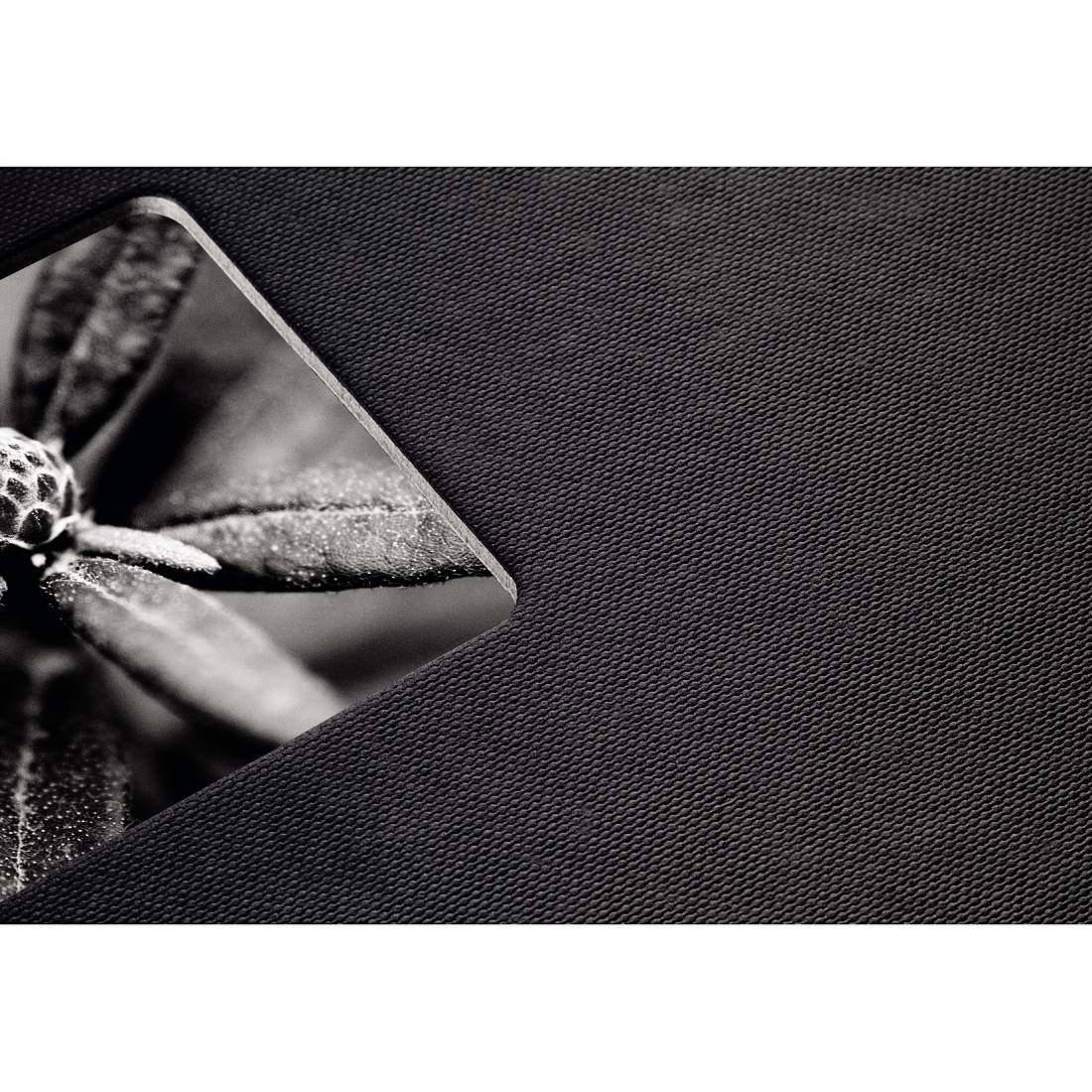 Hama Fine Art 00090140 Spiralalbum (B x H) 36cm x 32mm Schwarz 50 Seiten