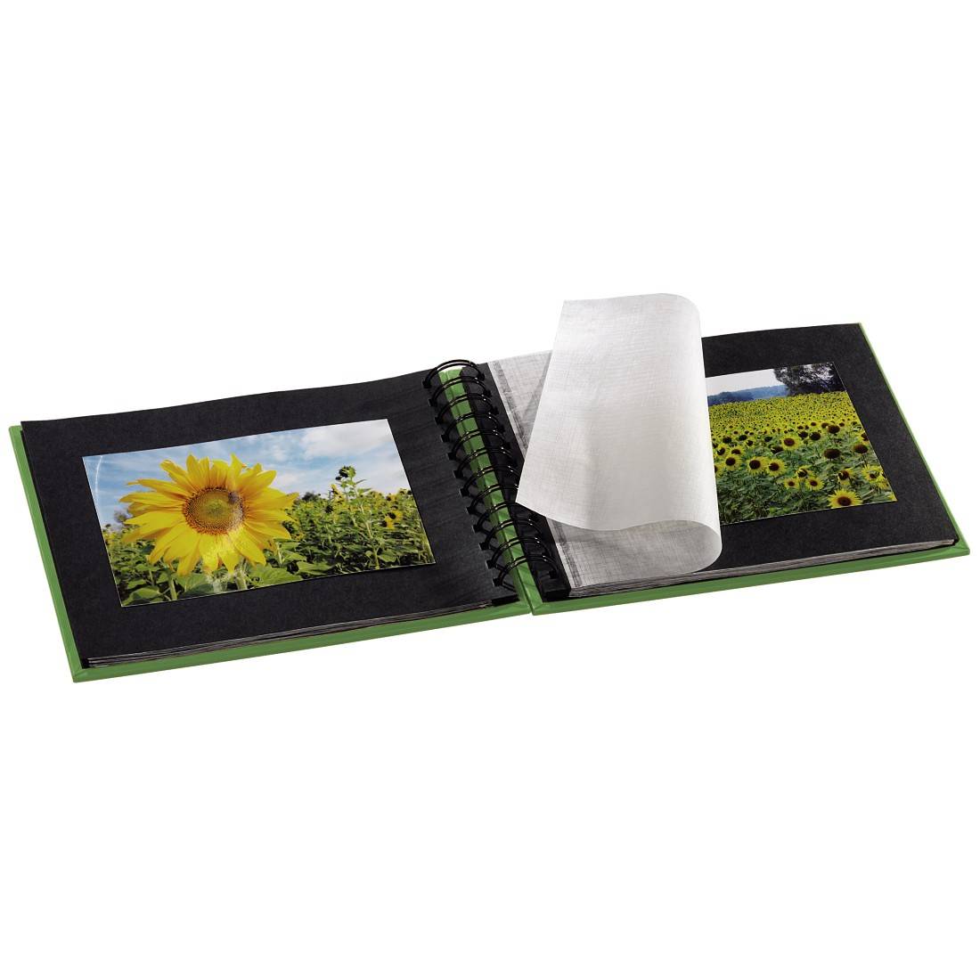 Hama Fine Art 00094880 Spiralalbum (B x H) 24cm x 17cm Apfelgrün 50 Seiten