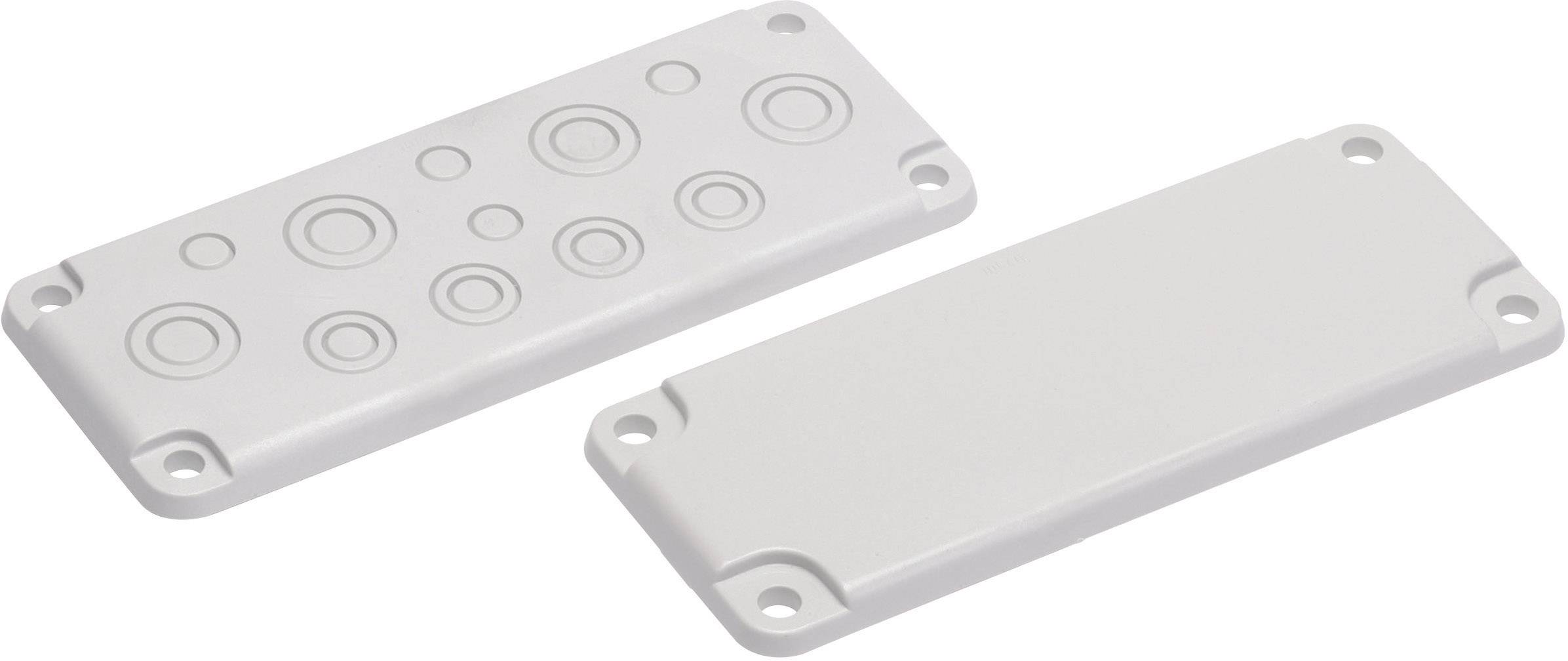 Fibox MB 10215 Blindplatte Polycarbonat Lichtgrau (RAL 7035) 1St.