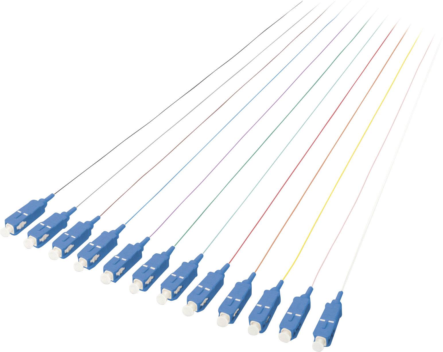Farbige Glasfaserkabel mit blauen Steckern liegen fächerförmig auf weißem Hintergrund.