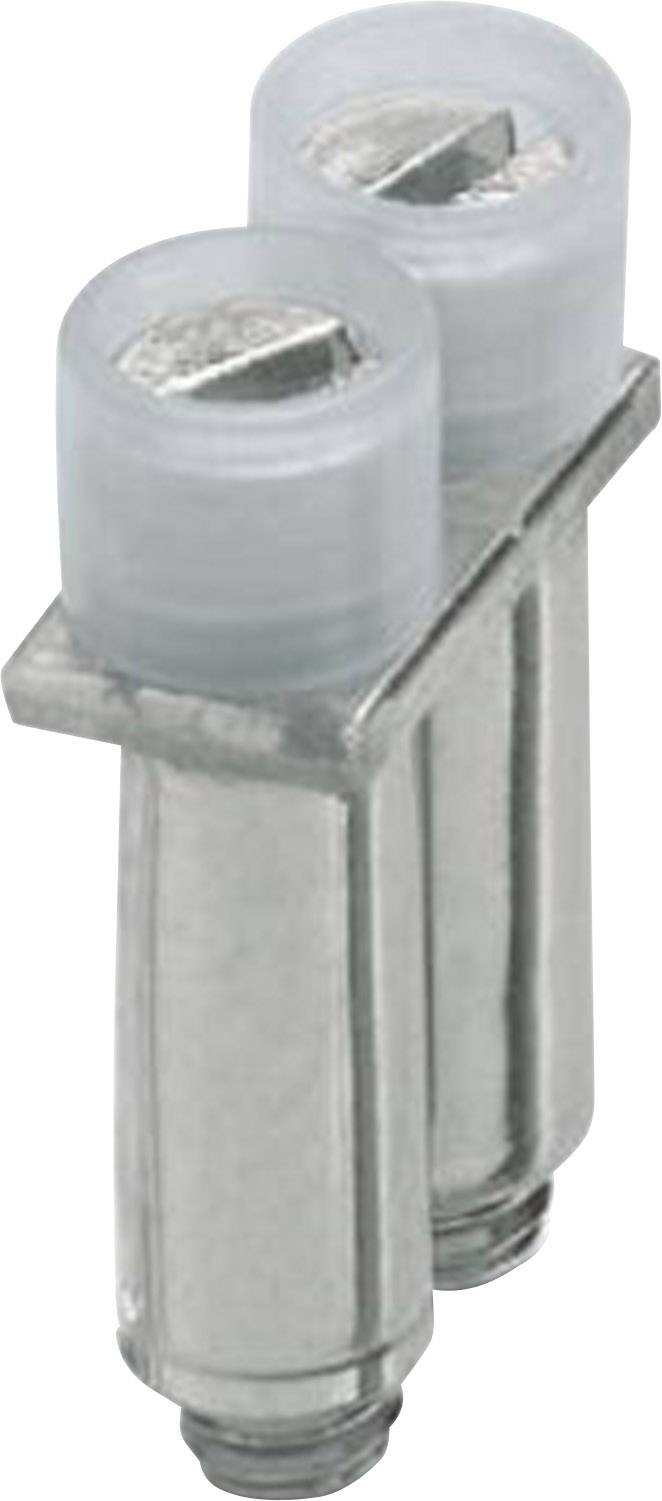 Zwei silberne Metallzylinder mit transparenten Kunststoffkappen, die flache Schraubköpfe haben.