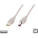 Digitus USB-Kabel USB 2.0 USB-A Stecker, USB-B Stecker 1.80m Beige AK-300102-018-E