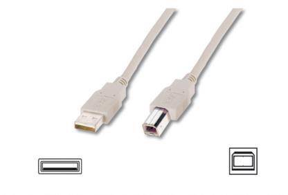 Zwei USB-Kabel mit unterschiedlichen Steckern: Ein flacher USB-A-Stecker links und ein quadratischer USB-B-Stecker rechts.