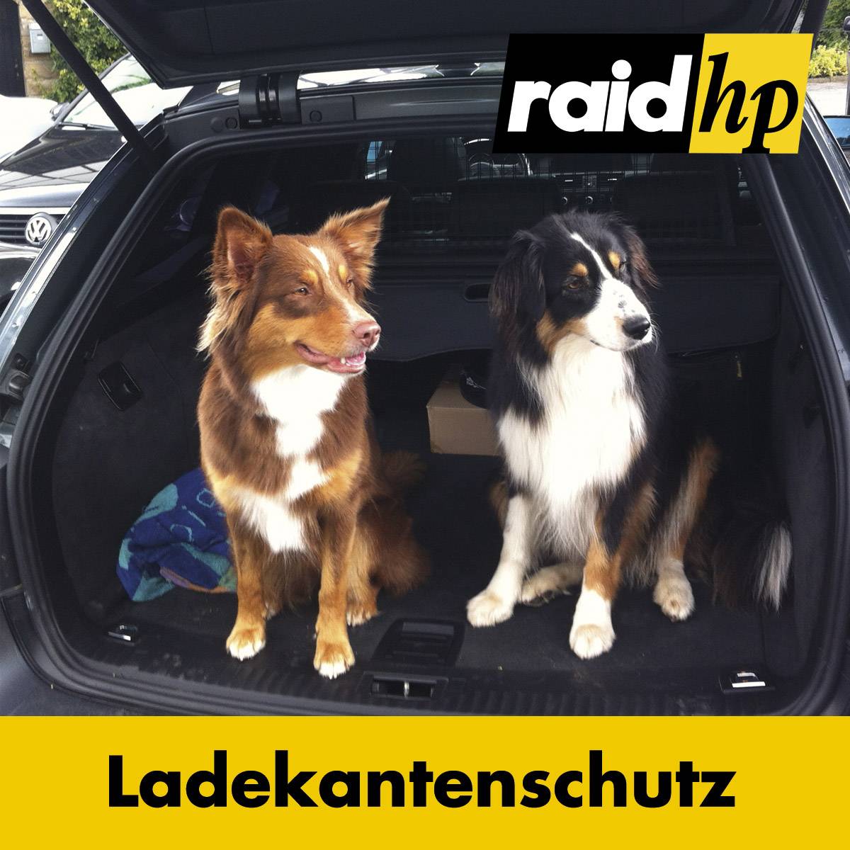 Raid hp Ladekantenschutz-Folie Audi A4 Avant Typ B7 8E Baujahr: 11.2004-03.2008