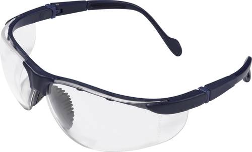 Protectionworld 2012006 Schutzbrille Schwarz
