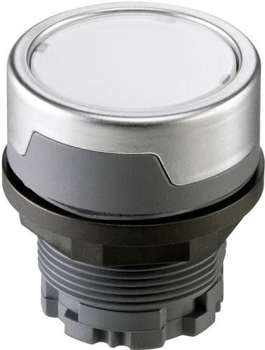 Schlegel RMCTKL RMCTKL Drucktaster Silber-Grau