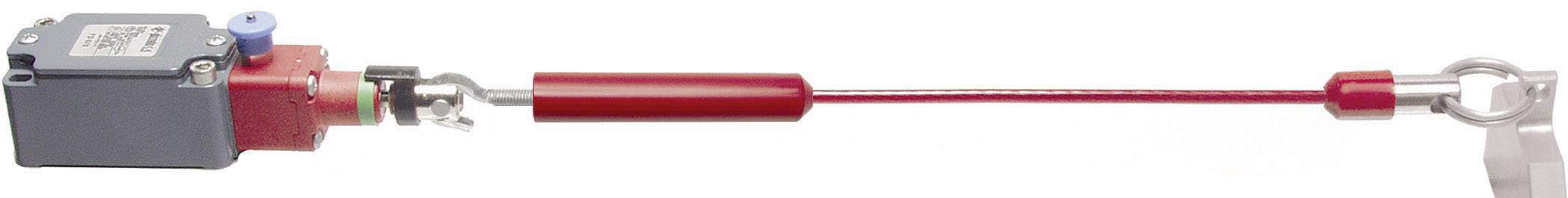 Pizzato Elettrica VF AF-KT20M0 VF AF-KT20M0 Stahlseil mit Haken 1 Set