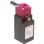 Pizzato Elettrica FR 1896-M2 FR 1896-M2 Sicherheitsschalter 250 V/AC 6A Drehhebel tastend 1St. Pizzato Elettrica FR 1896-M2 FR 1896-M2 Sicherheitsschalter 250 V/AC 6A Drehhebel tastend 1St.