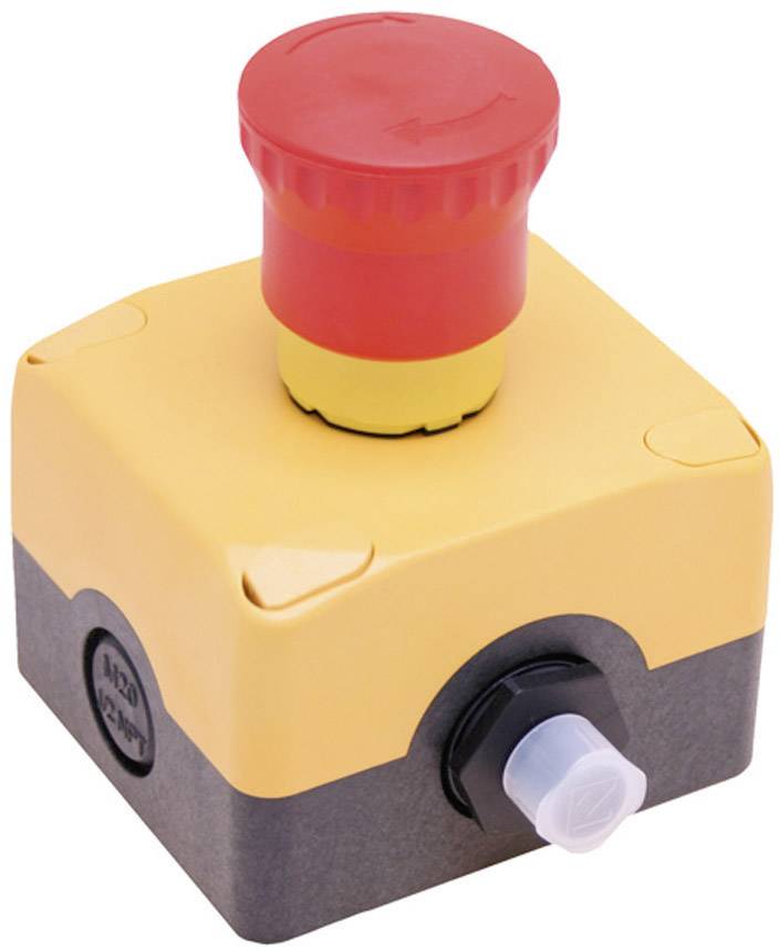 Pizzato Elettrica ES AC31027 Not-Aus-Schalter im Gehäuse 250 V/AC 6A 1 Öffner, 1 Schließer IP67 1 Set