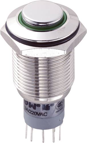 LAS2GQH-22ZE/G/12V/N/P Vandalismusgeschützter Druckschalter 250 V/AC 3A 2 x Ein/Ein