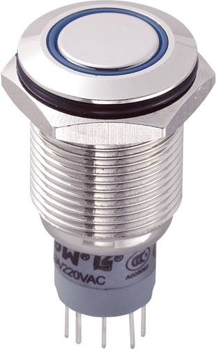 LAS2GQF-22ZE/B/12V/N/P Vandalismusgeschützter Druckschalter 250 V/AC 3A 2 x Ein/Ein