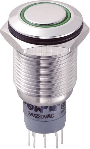 LAS2GQF-22ZE/G/12V/S/P Vandalismusgeschützter Druckschalter 250 V/AC 3A 2 x Ein/Ein