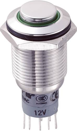 TRU Components 701885 LAS2GQH-22ZE/G/12V/S/P Vandalismusgeschützter Druckschalter 250 V/AC 3 A 2 x