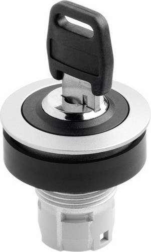 RONTRON RRJSSA18 Schlüsselschalter Metall, Schwarz 1 x 90° 1St.