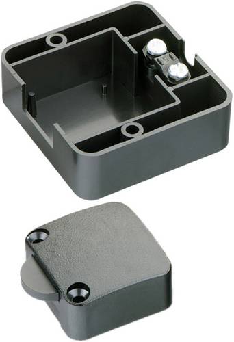 InterBär 5120-004.05 5120-004.05 Türklappenschalter 250 V/AC 2 A tastend 1 St.