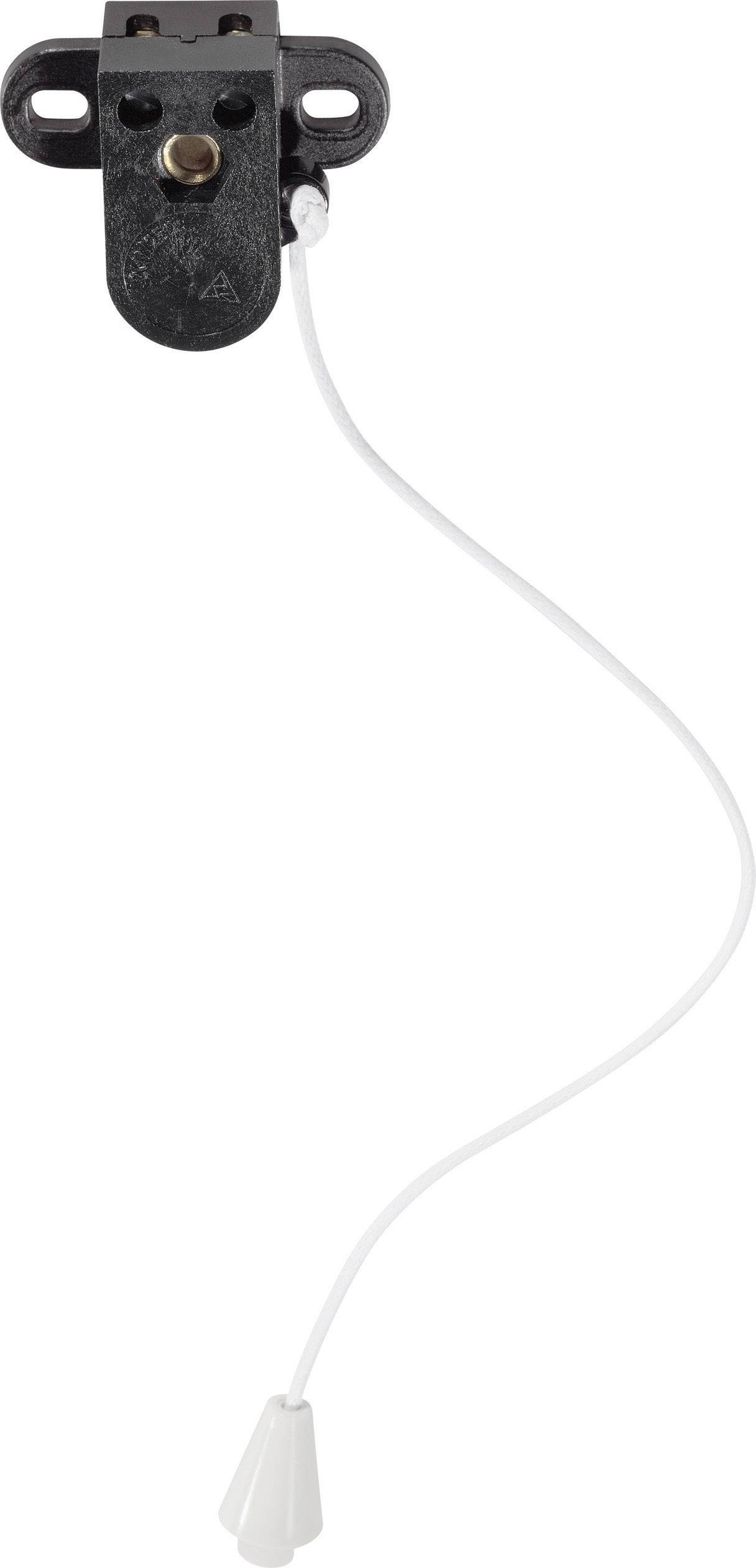 InterBär Seilzugschalter Schwarz 1 x Aus/Ein 2A 1St.