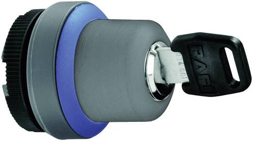 RAFIX 22 FS 1.30.255.202/0000 Schlüsselschalter Metall 1 x 90 ° 1 St.