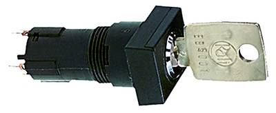 RAFI 1.10.119.467/0000 Schlüsselschalter 35V 0.1A 1 x Aus/Ein/Ein/Ein 3 x 90° IP65 2St.