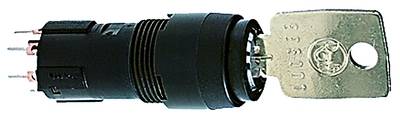 RAFI 1.10.119.967/0000 Schlüsselschalter 35V 0.1A 1 x Aus/Ein/Ein/Ein 3 x 90° IP65 2St.