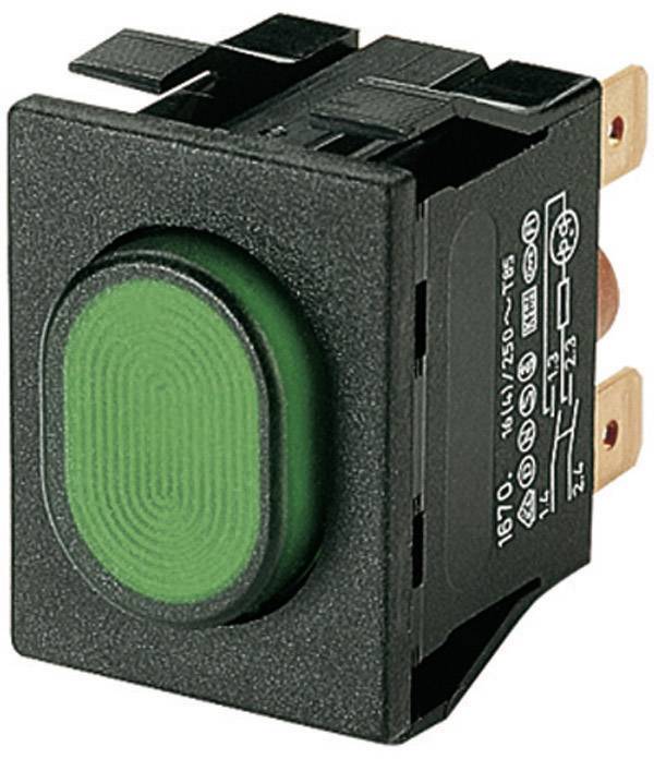 Marquardt 1670.5202 1670.5202 Druckschalter 250 V/AC 16A 2 x Ein/Aus rastend Grün (L x B x H) 33 x 25 x 33mm IP54 1St.