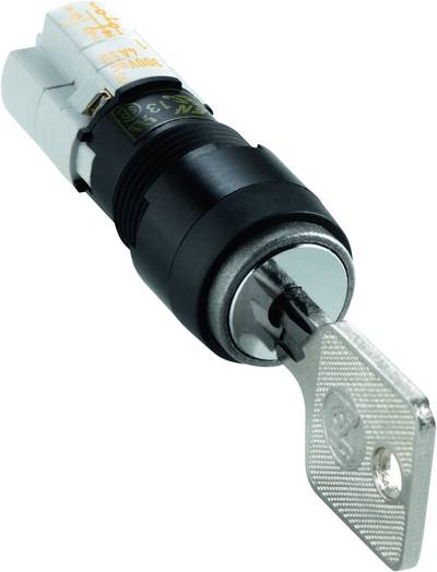 RAFI 1.15.108.852/0000 Schlüsselschalter 250 V/AC 4A 2 x Aus/Ein 1 x 90° IP40 2St.