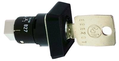 RAFI 1.15.156.001/0000 Schlüsselschalter 35V 0.1A 1 x Aus/Ein 1 x 90° IP65 2St.