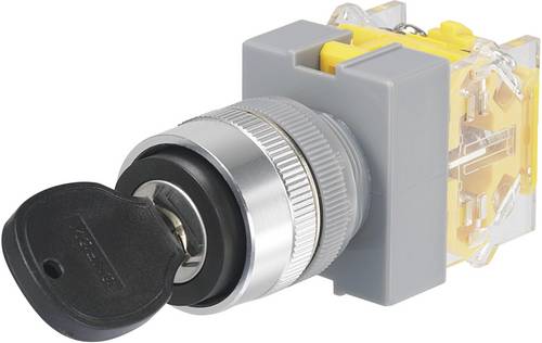TRU Components 704480 Y090-A-11Y/21 Schlüsselschalter 250 V/AC 5 A Aus/Ein 1 x 90 ° IP40 1 St.