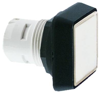 RAFI 1.30.070.501/0000 RAFIX 16 1.30.070.501/0000 Drucktaster Farblos, Transparent 10St.