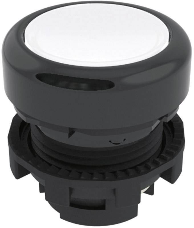 Pizzato Elettrica E21PL2R2210 E21PL2R2210 Drucktaster Schwarz 1St.