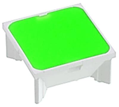 RAFI RF 3.14.002.052/0000 Leuchtvorsatz Grün 25St.