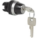 BACO 223950 L21LA00 Schlüsselschalter Frontring Kunststoff, verchromt Schwarz, Chrom 1 x 45° 1St.