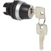 BACO 223960 L21NA00 Schlüsselschalter Frontring Kunststoff, verchromt Schwarz, Chrom 1 x 45 ° 1 St.