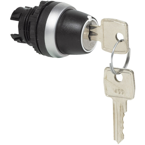BACO 223961 L21ND00 Schlüsselschalter Frontring Kunststoff, verchromt Schwarz, Chrom 2 x 45° 1St.