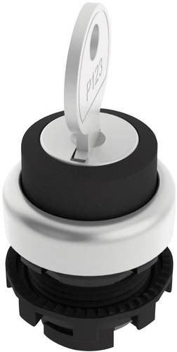 E21SC2DVA19AA Schlüsselschalter Schwarz 1 x 90 ° 1 St.