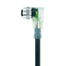 Escha 8045237 Sensor-/Aktor-Steckverbinder, konfektioniert M12 Buchse, gewinkelt 2.00 m Polzahl: 4