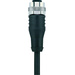Escha 8046229 Sensor-/Aktor-Steckverbinder, konfektioniert M12 Buchse, gerade 2.00 m Polzahl: 4 1 S