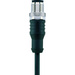 Escha 8043817 Sensor-/Aktor-Steckverbinder, konfektioniert M12 Stecker, gerade 2.00 m Polzahl: 4 1