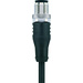 Escha 8046807 Sensor-/Aktor-Steckverbinder, konfektioniert M12 Stecker, gerade 2.00 m Polzahl: 8 1