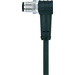 Escha 8046999 Sensor-/Aktor-Steckverbinder, konfektioniert M12 Stecker, gewinkelt 5.00m Polzahl: 8 1St.
