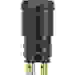 Escha 8008163 Sensor-/Aktor-Einbausteckverbinder M8 Stecker, Einbau Polzahl: 3