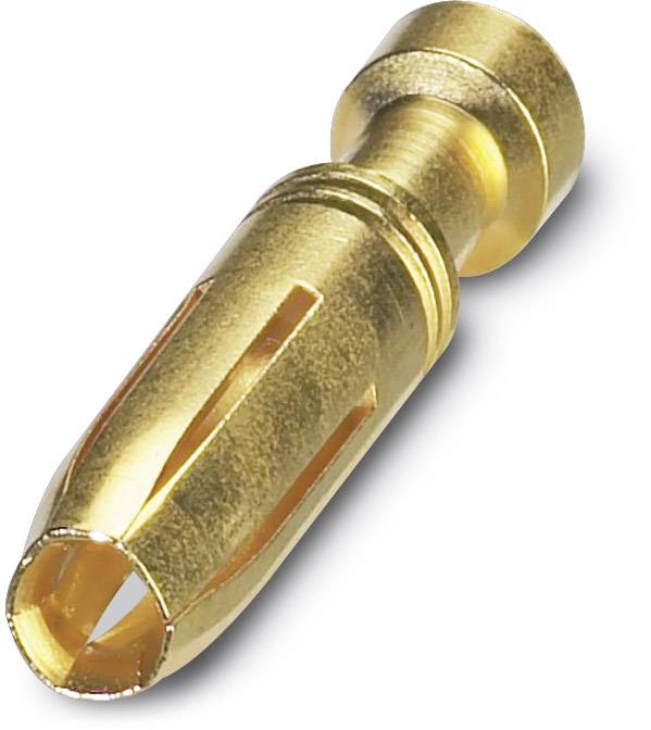 Goldener Bananenstecker, ein elektrischer Steckverbinder, hauptsächlich verwendet zur sicheren Verbindung von Lautsprecherkabeln mit Audiogeräten.