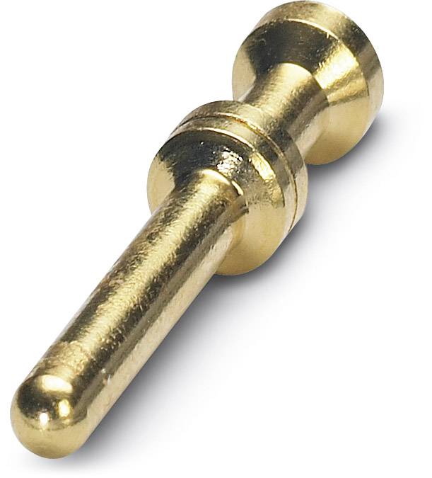 Goldfarbener Metallstift, möglicherweise ein technologisches oder verbindendes Bauteil, auf weißem Hintergrund.