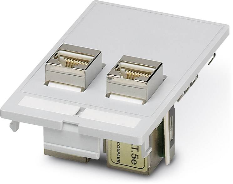 Zweifacher Netzwerkanschluss auf einer rechteckigen Platte, geeignet für Ethernet-Verbindungen, gut sichtbar mit RJ-45-Buchsen.
