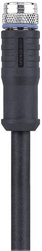 Escha 8046196 Sensor-/Aktor-Steckverbinder, konfektioniert M8 Buchse, gewinkelt 5.00m Polzahl: 3 1St