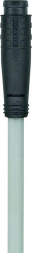Escha 8052699 Sensor-/Aktor-Steckverbinder, konfektioniert M8 Stecker, gerade 2.00 m Polzahl Sensor