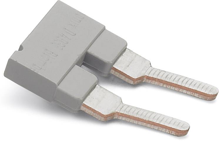 Ein graues elektrisches Bauteil mit zwei metallischen Anschlussbeinen. Es ist ein Flachsicherungselement für elektronische Geräte.