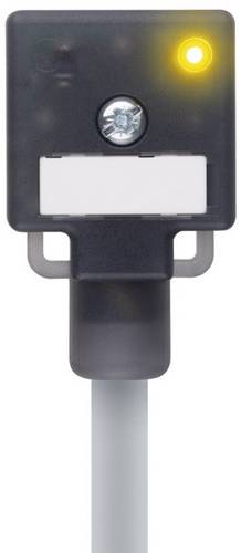 Escha Ventilsteckverbinder Bauform A Schwarz VA22-24.3-5/P01 Pole:2+PE gebrückt 8047821 Inhalt: 1St.